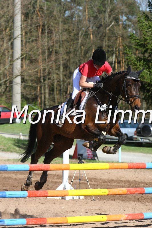 204M8810_Con Calanda_Springpferde_L.JPG